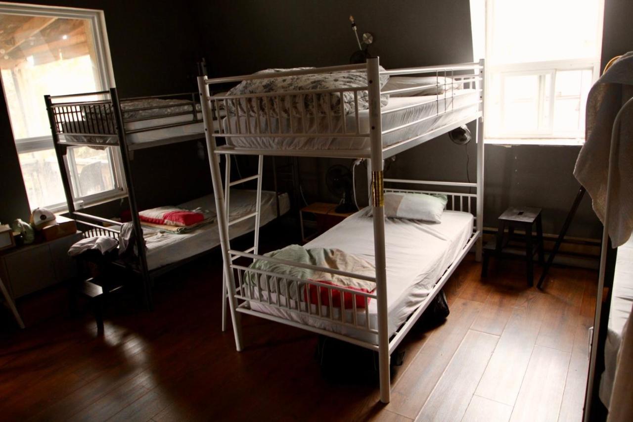 The Parkdale Hostellerie Toronto Extérieur photo